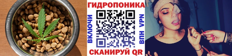 Cannafood конопля закладки Новый Оскол