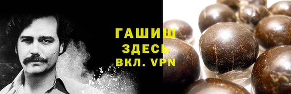 spice Гусиноозёрск