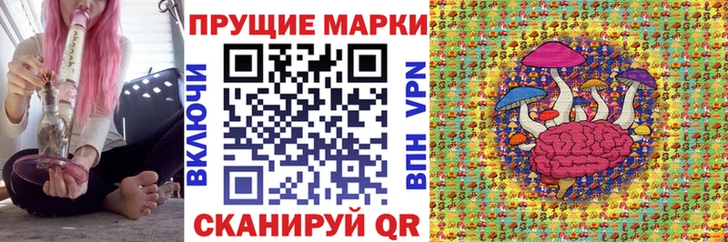 кракен ССЫЛКА  Новый Оскол  Марки N-bome 1,8мг 